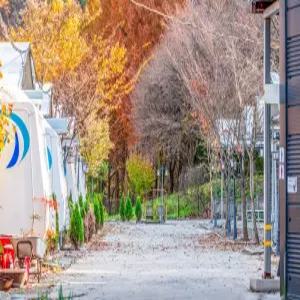 [대전] 대전 꿈꾸는농부캠핑장(대전, 동구)