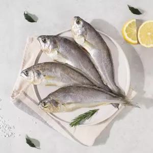 갤러리아 [오늘의굴비] 법성포 실속 봉지굴비(20미/1.2kg)