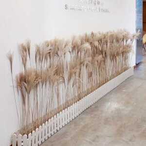 팜파스 조화 갈대 억새 강아지풀 인조나무 장식 카페
