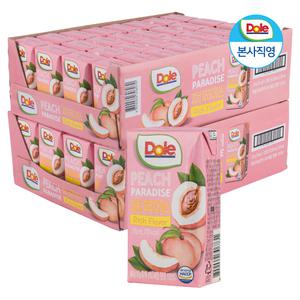 Dole 리얼과즙 피치 파라다이스 120ml 64팩 총 2박스 / 복숭아 주스
