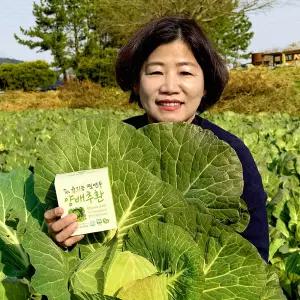 참든 찐연두 유기농 양배추환 3g x 30포