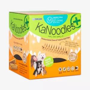 NEW 포켄스 카누들 덴탈껌 M 53p 1+1