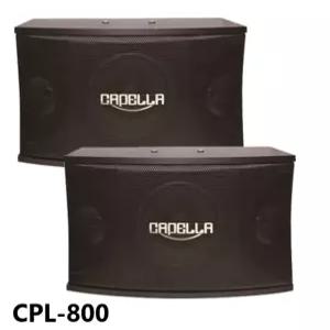 금영 태진 스피커 CPL-800 8인치 스피커 노래방 매장용 헬스장 무대 행사 파티룸