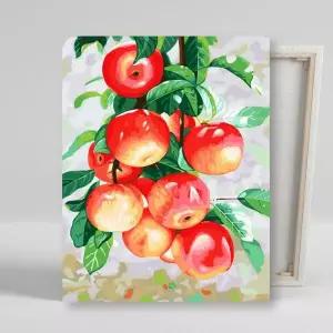 [아트박스]/아이러브페인팅 DIY캔버스형 그림그리기 40x50cm 싱그러운 홍사과