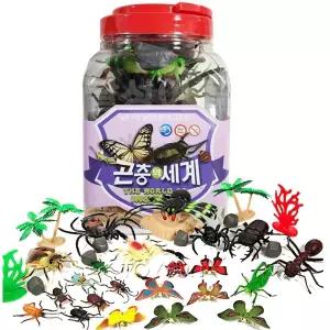 곤충의 세계 /중형/ 교육용 곤충모형 피규어