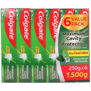 쿨민트 치약 250g x 6개 1450ppm 고불소치약 코스트코