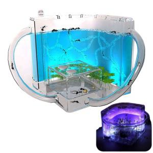 개미키우기 세트 개미집 곤충관찰 LED 어린이날 초등 과학선물