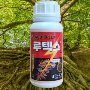 유일 루텍스 발근제 500ml 고추 토마토 뿌리발근제 발육향상 영양제 비료