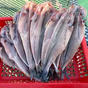 [연자매수산] 쫀득쫀득 국내산 반건조임연수 500g내외(4∼5미) x 2세트