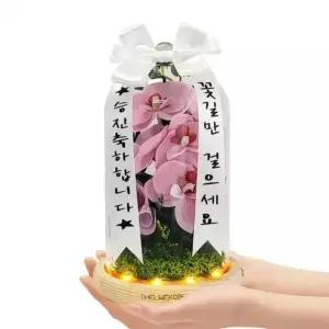 서양란 비누꽃 무드등 승진 취임 영전 개업 축하 선물