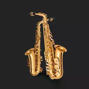 초보용 연습용 입문용 알토 색소폰