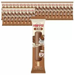 [서울우유] 아이스크림 초코바 65mlx30개