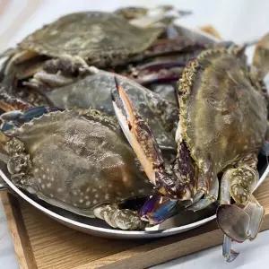 국내산 급냉 선동 꽃게 1kg