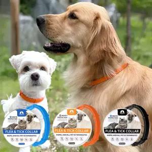 베러댄 강아지 모기 진드기 해충방지 목걸이 (최대8개월향지속) 산책용품 개 고양이 목줄 기생충 기피제