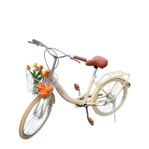 클래식 여성용 자전거 성인 통학 바구니 산책 학생 RALEIGH 여성 완조립 블랙 6단