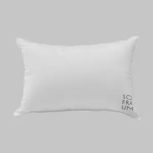 [소프라움](대구신세계)DOWNFOREST 마이크로화이버 베개솜