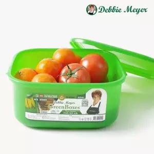 [데비마이어]그린박스 HC 패밀리박스XL 4.5L 1P