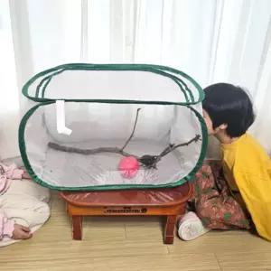 촘촘한 메쉬 곤충 채집 투명창 관찰망 중 폴딩 그물 사육망 손잡이 바구니 곤충사육통