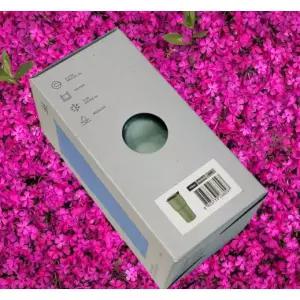 소엽풍란5포트난풍란동양란난키우기식물꽃나라아트