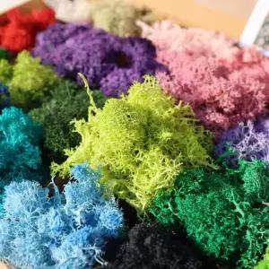 키득키득 스텔라 모스이끼 종합 32색 세트 500g