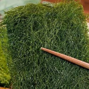 서산 50년 전통 수제 명품 햇 구운감태 구운감태김 32매(4봉)