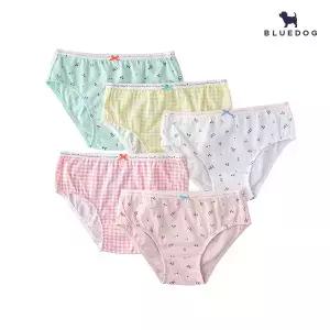 [블루독] 체리 체크 5종 팬티_PK (2491051154)