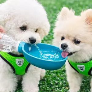 강아지 휴대용 물통 급수기 산책물병 터키쉬블루