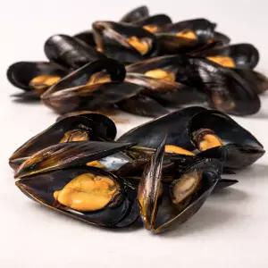 국내산 자연산 섭 홍합 담치