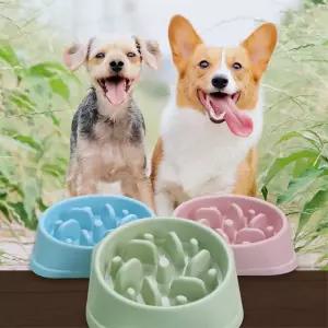 잔솔 강아지 슬로우 식기 개밥그릇 고양이 급체 방지 강아지밥그릇