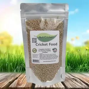 프리미엄 크리켓 푸드 500g (Crumble)조각 쌍별 귀뚜라미 먹이 사료 사육