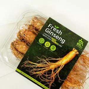 고려인삼 생인삼 뿌리삼 금산수삼 수삼6년근 원삼 고려삼 삼계탕용인삼 동삼 인삼사포닌 난발삼 5뿌리