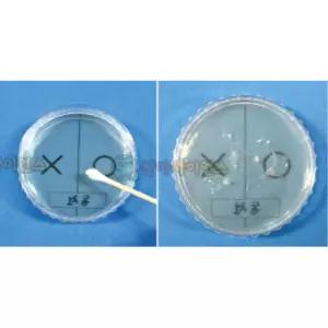 손씻는 습관 세균 배양 실험키트 5인용 자연과학완구 만들기재료 관찰 방과후수업