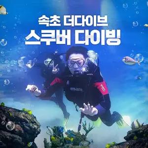 [바다가는달 30%할인] 강원 속초 더다이브(The Dive) 스쿠버 다이빙(5/1~5/31)