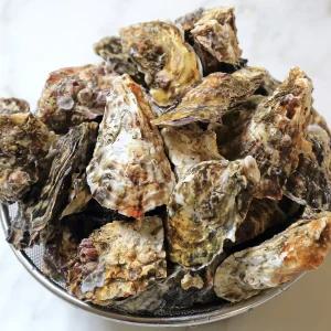 통영 제철 석화 5kg 각굴 생굴 햇굴 굴구이 굴찜 국내산 여수 통영 당일발송 익일배송