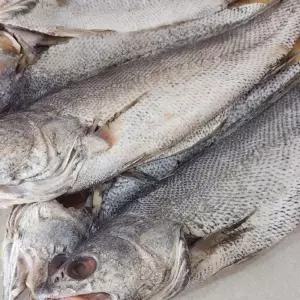 국내산 반건생선 민어 생선 특대 4미 특대 민어 반찬 국내산 반건조 민어 8미