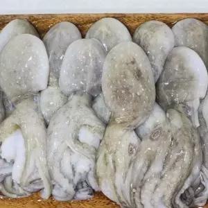 손질쭈꾸미 내장제거 절단주꾸미 급냉 3kg 30미내외