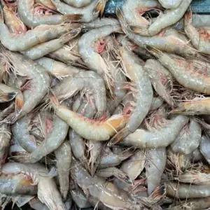 국내산 급냉 흰다리 새우 신안 제철 소금 대하 구이 캠핑 감바스 500g 8미 내외