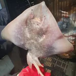 통가오리 간재미 냉동가오리 1kg 무침용 가오리무침 별미음식