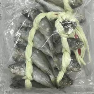 목포 참조기 정숙이 굴비 15-18cm내외 20마리 산지직송