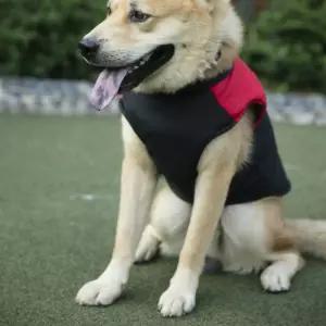 강아지패딩 하네스조끼 중형견 대형 3XL 4XL 5XL애 강아지옷 의류 봄옷 여름 가을 겨울산책 애견