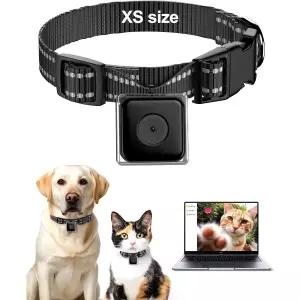 고양이 카메라 칼라 고양이개용 다이렉트 무선 추적용 레코딩 고양이개 XS