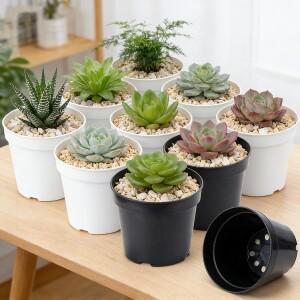 20개 미니 원형 플라스틱 다육식물 묘목 화분, 탁상 원예 꽃 번식 및 선인장 심기용