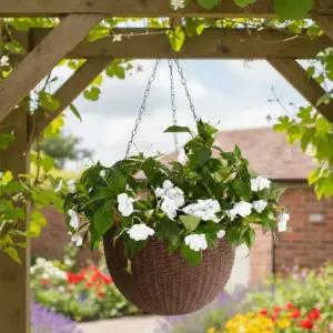 라탄 패턴 행잉 화분 천장 걸이형 자동급수 공중