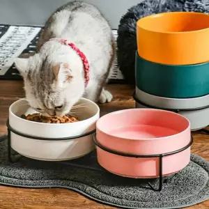 반려견 도자기 식기 2구 소형 블랙 트레이 노랑 그릇 강아지밥그릇