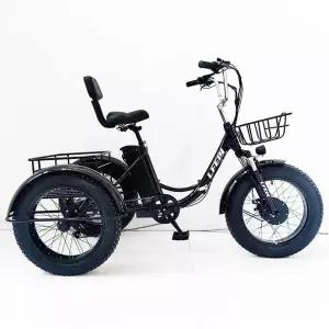 성인용 세발자전거 어른용 삼륜자전거 어르신 바이크 짐칸 리어랙