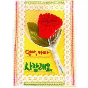 나오유 카드만들기 카네이션 어버이날 감사 메시지 세트