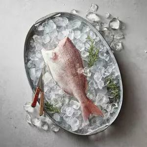 [NS홈쇼핑]국내산 참돔 두절 손질생선 250~300g 1마리[35837685]