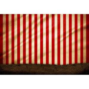 바오치코 10X8피트 서커스 배경 텐트 생일 축하 카니발 사진 빨간색과 흰색 줄무늬 남자 소녀 파티 부스 소품