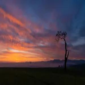 선셋 실루엣300피스 퍼즐 게임 재미있고 도전적인 14년 이상