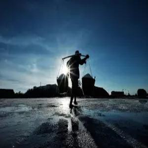 노동력 300피스 퍼즐 게임 재미있고 도전적인 14년 이상